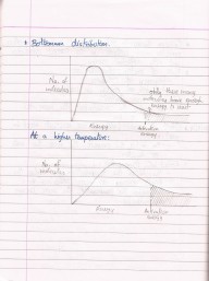 Rates of Reactions (3)